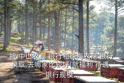 被 中山農(nóng)商 銀行和珠海農(nóng)商 銀行錄取,去哪家比較好(就福利 待遇、 銀行規(guī)模...
