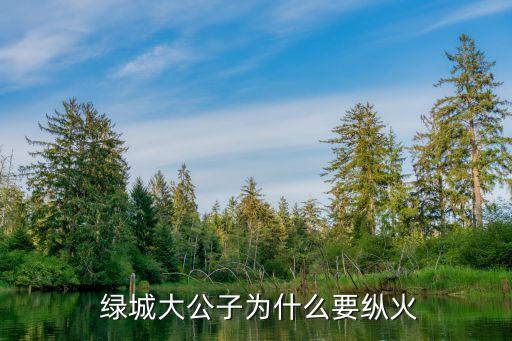 綠城中國董事長(zhǎng),綠城董事長(zhǎng)宋衛(wèi)平