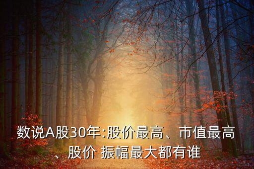 數(shù)說A股30年:股價最高、市值最高、股價 振幅最大都有誰