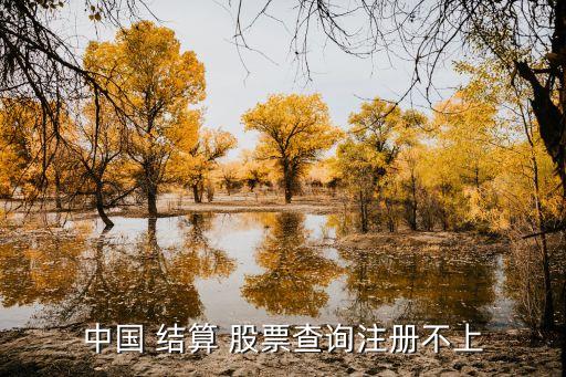 中國 結(jié)算 股票查詢注冊(cè)不上