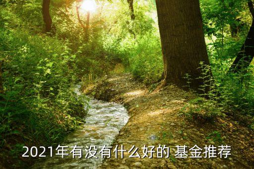 2021年有沒(méi)有什么好的 基金推薦