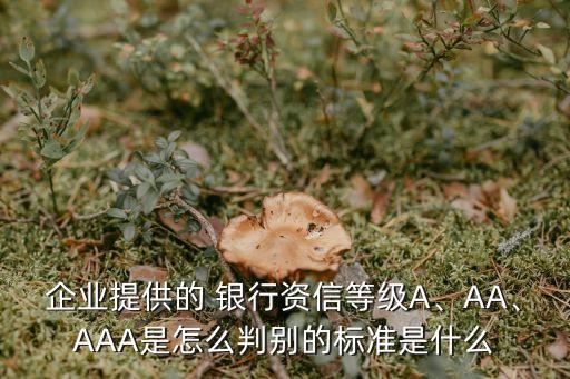 企業(yè)提供的 銀行資信等級A、AA、AAA是怎么判別的標準是什么