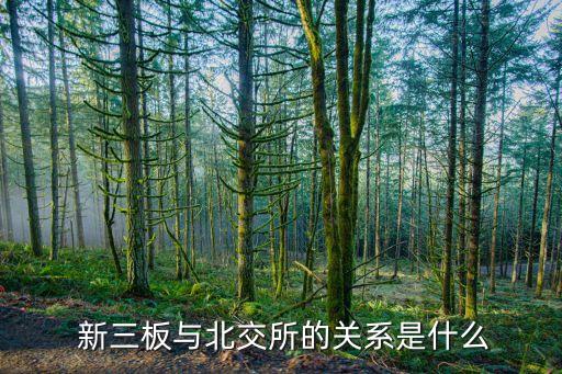  新三板與北交所的關系是什么
