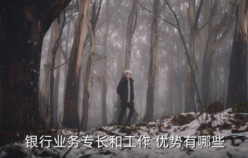  銀行業(yè)務(wù)專(zhuān)長(zhǎng)和工作 優(yōu)勢(shì)有哪些