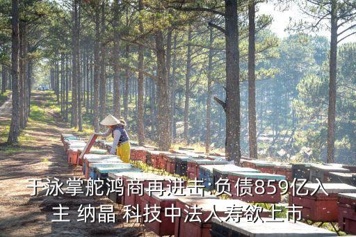 于泳掌舵鴻商再進擊:負(fù)債859億入主 納晶 科技中法人壽欲上市