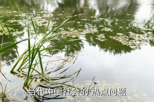 當(dāng)代中國(guó)社會(huì)的 熱點(diǎn)問題