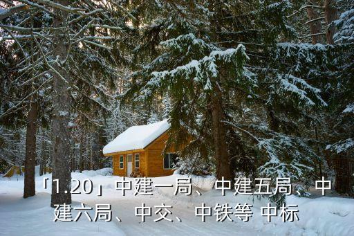 「1.20」中建一局、中建五局、中建六局、中交、中鐵等 中標(biāo)