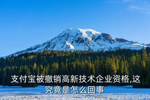  支付寶被撤銷高新技術企業(yè)資格,這究竟是怎么回事