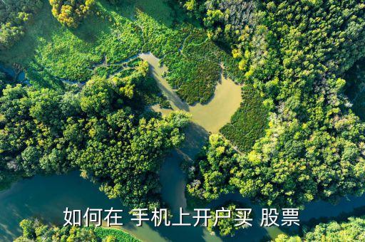 如何在 手機(jī)上開(kāi)戶買(mǎi) 股票