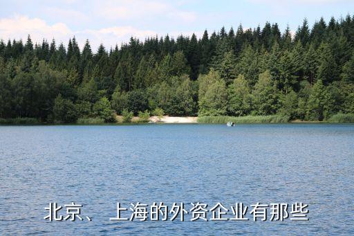 北京、 上海的外資企業(yè)有那些