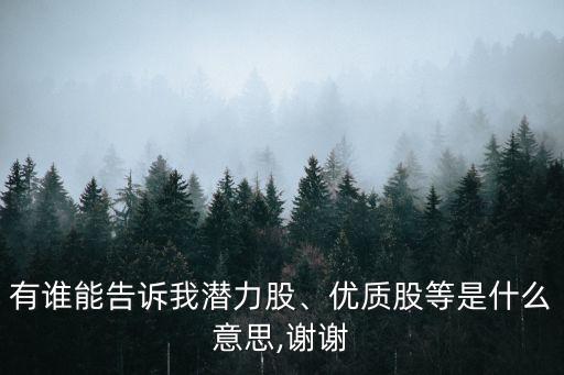 有誰能告訴我潛力股、優(yōu)質股等是什么意思,謝謝