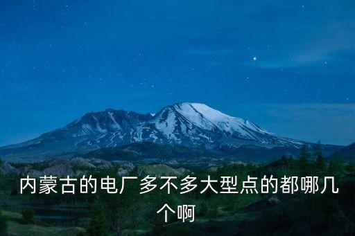  內蒙古的電廠多不多大型點的都哪幾個啊