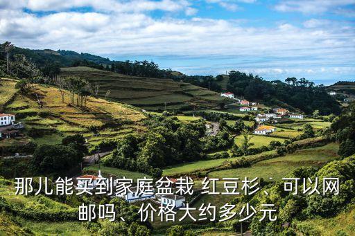 那兒能買到家庭盆栽 紅豆杉、可以網(wǎng)郵嗎、價格大約多少元