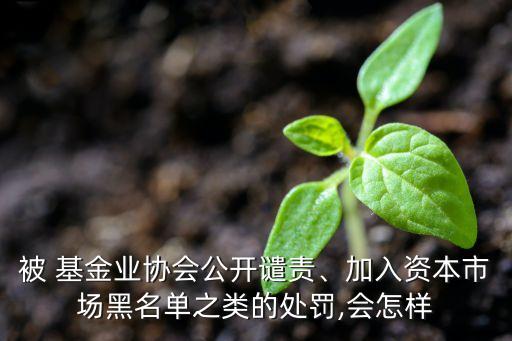 被 基金業(yè)協(xié)會(huì)公開(kāi)譴責(zé)、加入資本市場(chǎng)黑名單之類(lèi)的處罰,會(huì)怎樣