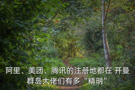 阿里、美團(tuán)、騰訊的注冊地都在 開曼群島大佬們有多“精明”