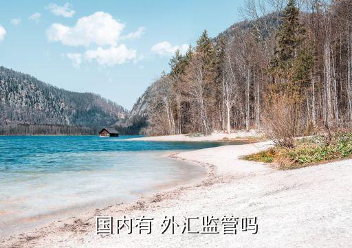 國內有 外匯監(jiān)管嗎