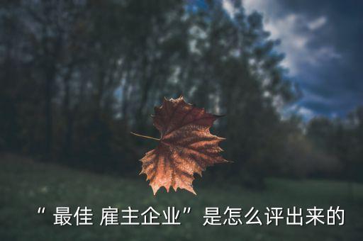 “ 最佳 雇主企業(yè)”是怎么評(píng)出來的
