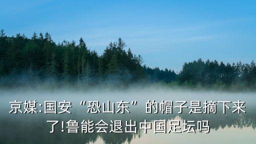 京媒:國(guó)安“恐山東”的帽子是摘下來了!魯能會(huì)退出中國(guó)足壇嗎