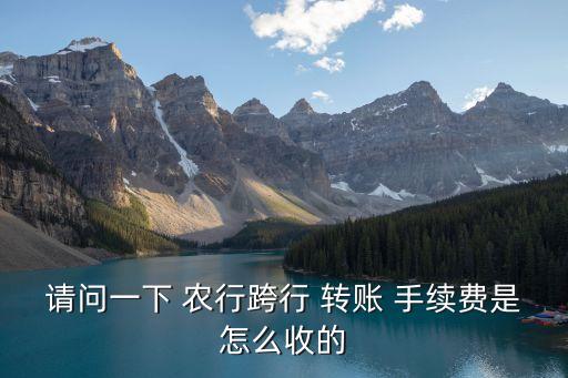 請(qǐng)問一下 農(nóng)行跨行 轉(zhuǎn)賬 手續(xù)費(fèi)是怎么收的