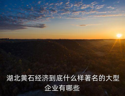  湖北黃石經濟到底什么樣著名的大型企業(yè)有哪些
