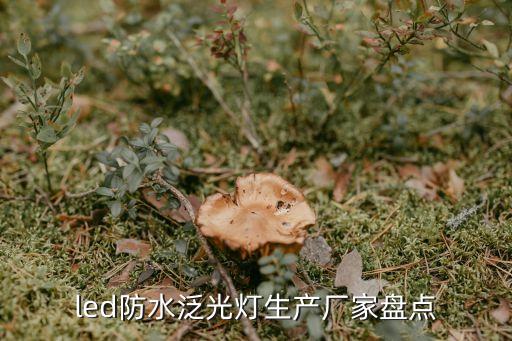 飛利浦燈飾制造深圳公司,深圳飛利浦燈飾制造工廠(chǎng)