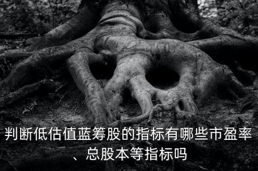 判斷低估值藍籌股的指標有哪些市盈率、總股本等指標嗎