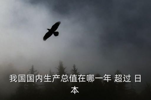 我國國內生產(chǎn)總值在哪一年 超過 日本