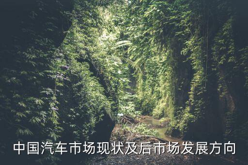 中國(guó)汽車(chē)市場(chǎng)現(xiàn)狀及后市場(chǎng)發(fā)展方向