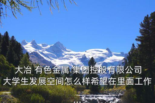 黃石大冶有色集團,大冶有色集團領(lǐng)導班子調(diào)整