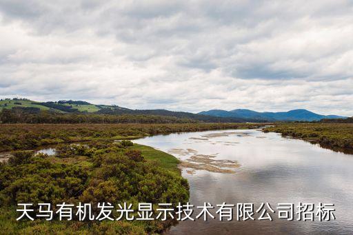 上海天馬有機發(fā)光顯示技術有限公司招標