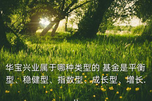 華寶興業(yè)屬于哪種類型的 基金是平衡型、穩(wěn)健型、指數(shù)型、成長型、增長...