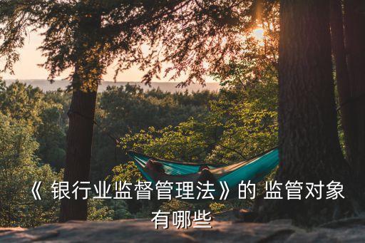 我國銀行業(yè)監(jiān)管法律研究,我國對(duì)銀行業(yè)的監(jiān)管模式