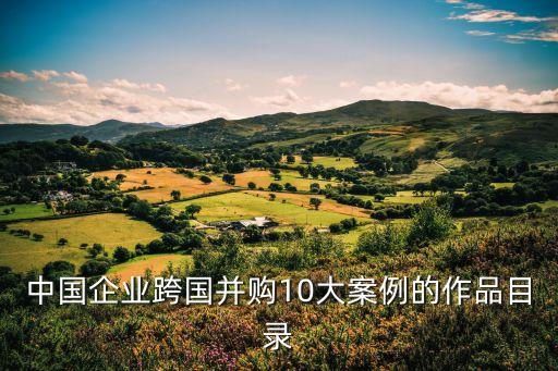 萬向集團(tuán)收購(gòu)美國(guó)a123系統(tǒng)公司