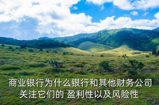  商業(yè)銀行為什么銀行和其他財務公司關注它們的 盈利性以及風險性