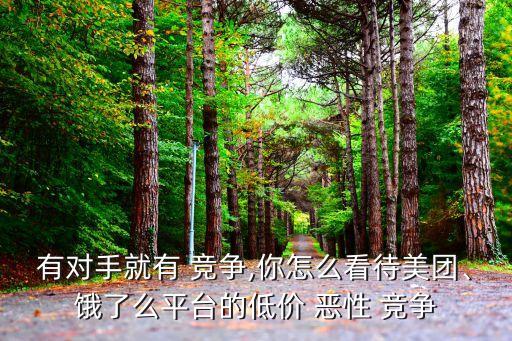有對手就有 競爭,你怎么看待美團、餓了么平臺的低價 惡性 競爭