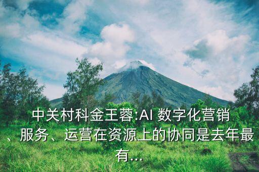  中關(guān)村科金王蓉:AI 數(shù)字化營(yíng)銷、服務(wù)、運(yùn)營(yíng)在資源上的協(xié)同是去年最有...