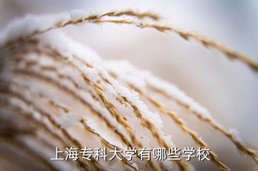  上海?？拼髮W有哪些學校