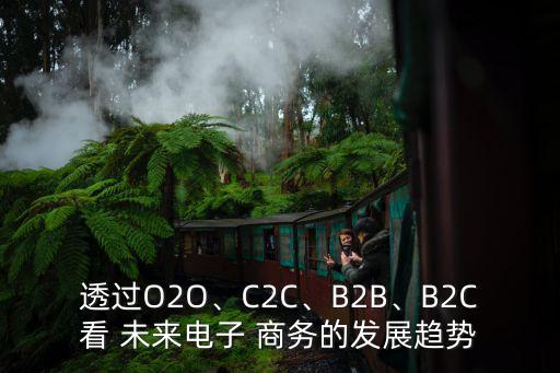 透過O2O、C2C、B2B、B2C看 未來電子 商務(wù)的發(fā)展趨勢(shì)