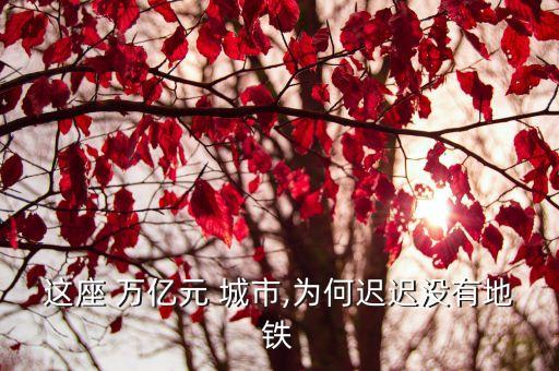 這座 萬(wàn)億元 城市,為何遲遲沒有地鐵