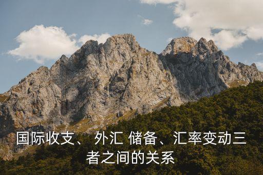 國(guó)際收支、 外匯 儲(chǔ)備、匯率變動(dòng)三者之間的關(guān)系