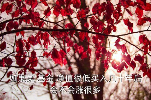 如果某 基金 凈值很低買(mǎi)入幾十年后會(huì)不會(huì)漲很多