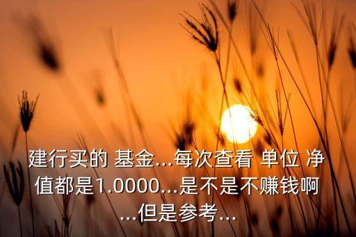建行買(mǎi)的 基金…每次查看 單位 凈值都是1.0000…是不是不賺錢(qián)啊…但是參考...