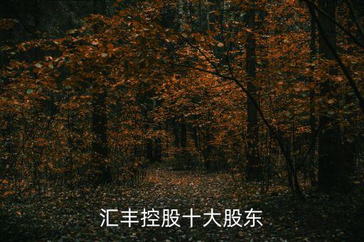 匯豐銀行上?？偛靠偨?jīng)理是誰,上海匯豐銀行總部好進(jìn)嗎