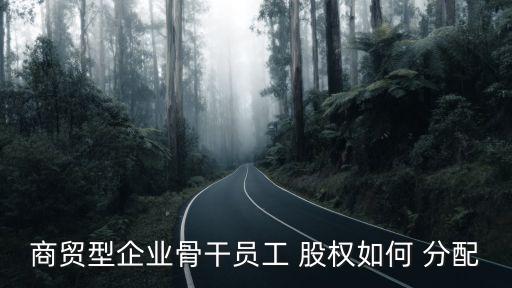 商貿型企業(yè)骨干員工 股權如何 分配