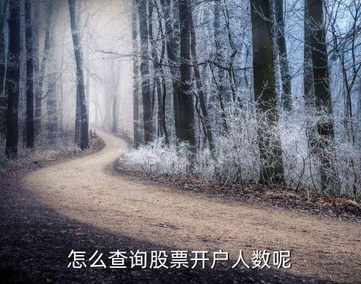 怎么查詢(xún)股票開(kāi)戶人數(shù)呢