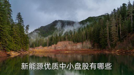 新能源優(yōu)質(zhì)中小盤(pán)股有哪些