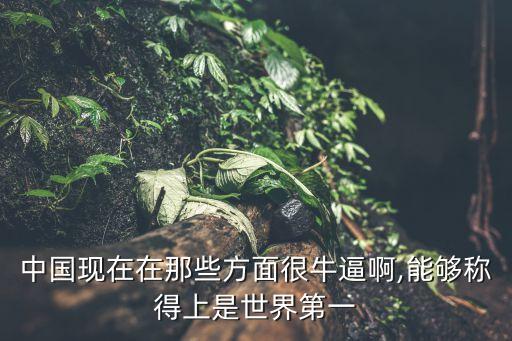 中國(guó)現(xiàn)在在那些方面很牛逼啊,能夠稱(chēng)得上是世界第一