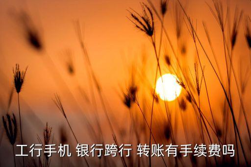 工商銀行之間轉(zhuǎn)賬收費嗎,手機(jī)工商銀行跨行轉(zhuǎn)賬收費嗎