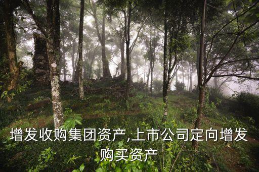 定向增發(fā)收購集團資產,上市公司定向增發(fā)購買資產