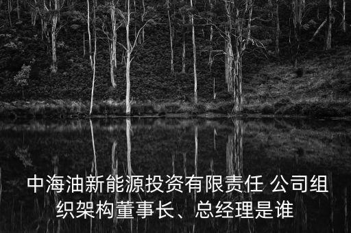  中海油新能源投資有限責(zé)任 公司組織架構(gòu)董事長(zhǎng)、總經(jīng)理是誰(shuí)